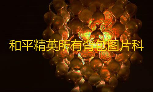 安全云服务器和平精英所有背包图片科技类